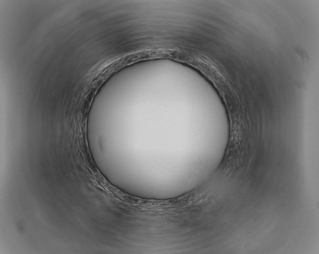 X0000112910773200908241007