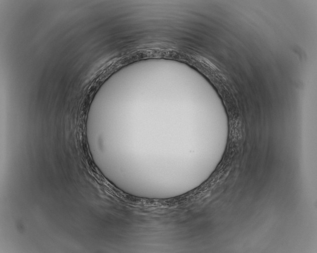 X0000112910774200908241007