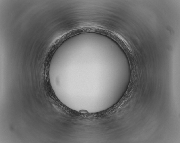 X0000112910775200908241007