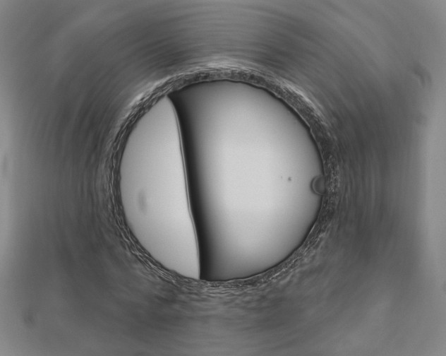 X0000112910776200908241007