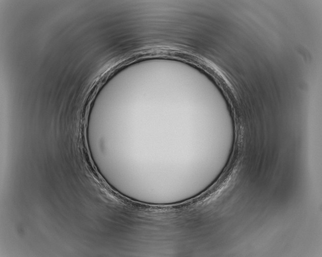 X0000112910778200908241007