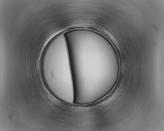 X0000112910779200908241007