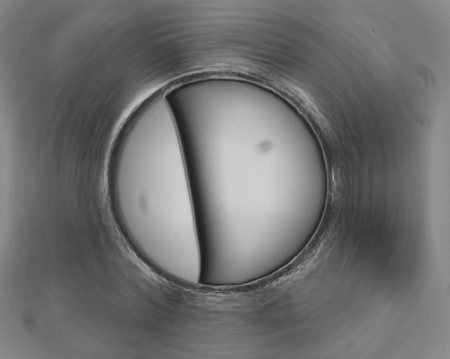 X0000112910780200908241007