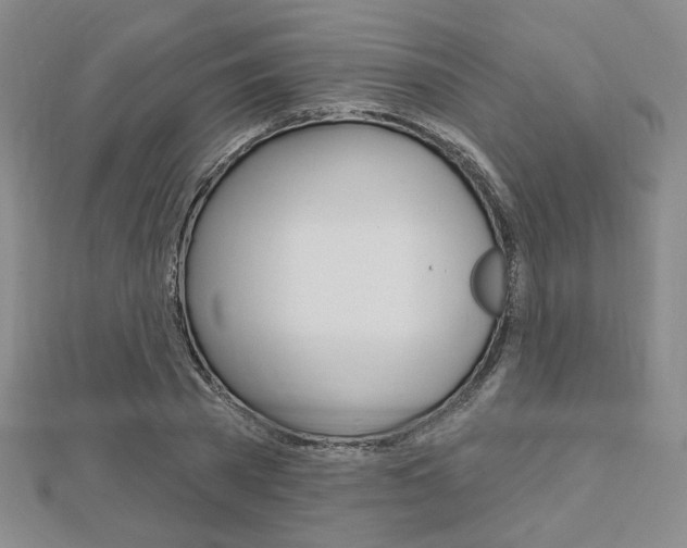 X0000112910785200908241007