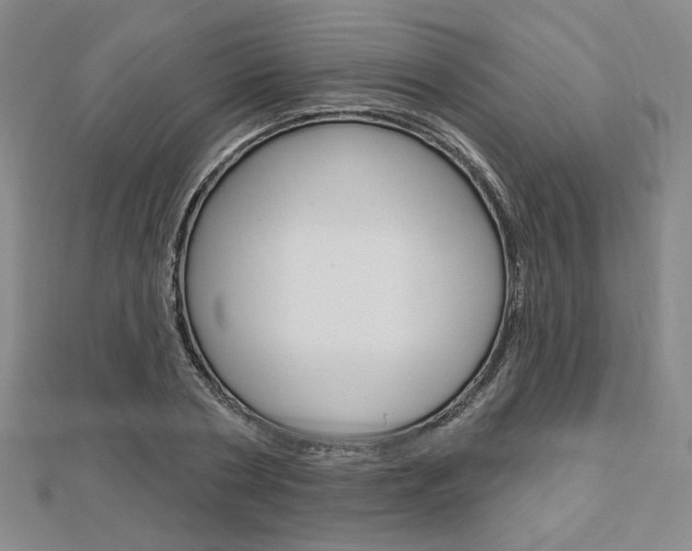 X0000112910786200908241007