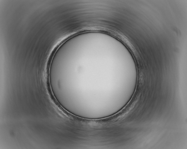 X0000112910787200908241007