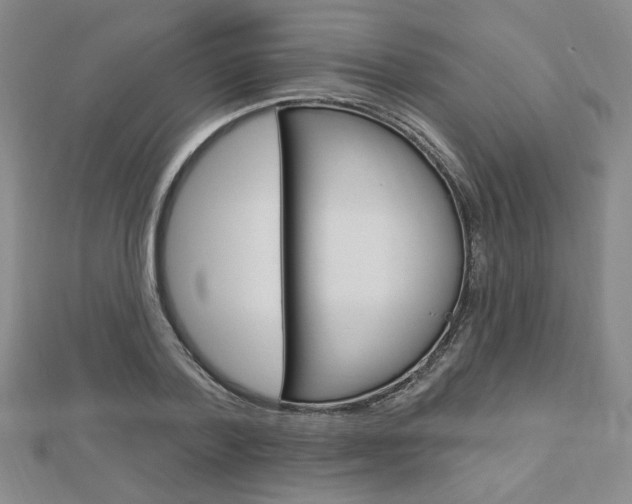 X0000112910788200908241007