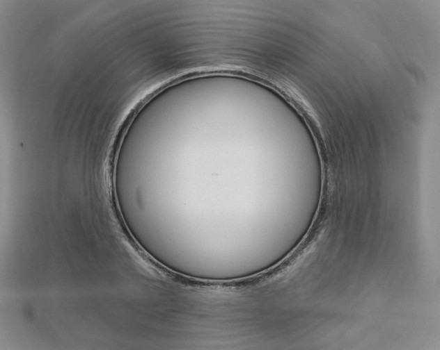 X0000112910789200908241007