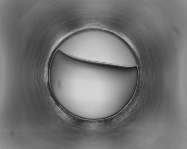 X0000112910791200908241007