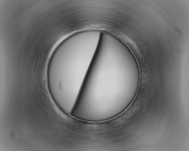 X0000112910792200908241007