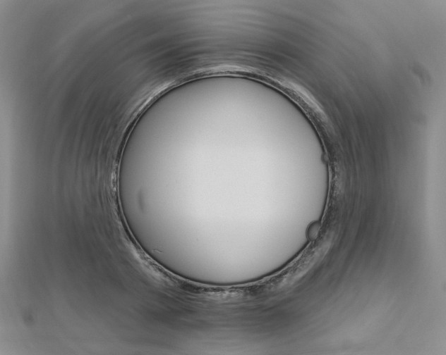 X0000112910793200908241007