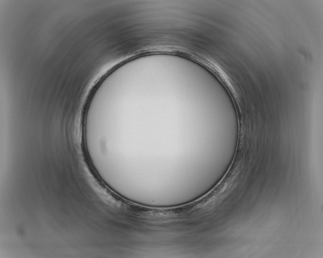 X0000112910795200908241007