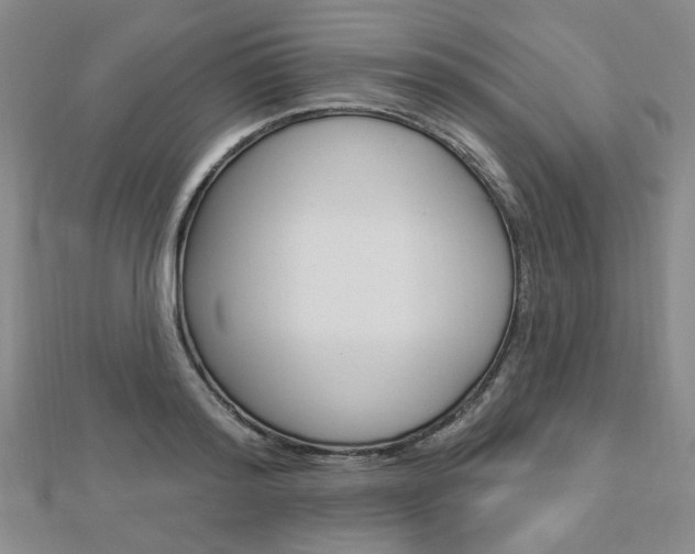 X0000112910796200908241007