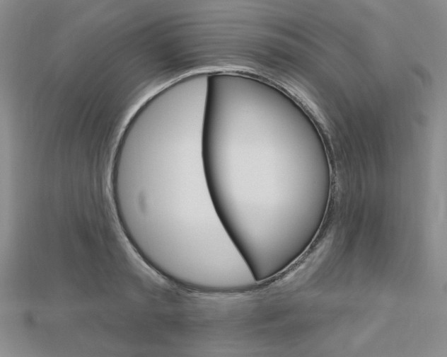 X0000112910797200908241007