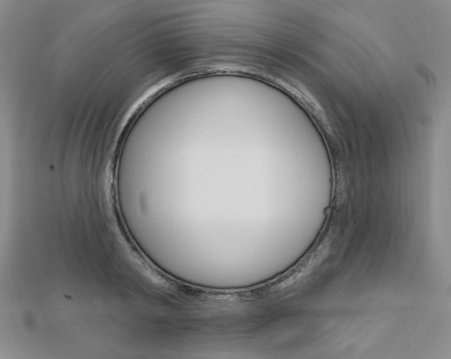 X0000112910798200908241007
