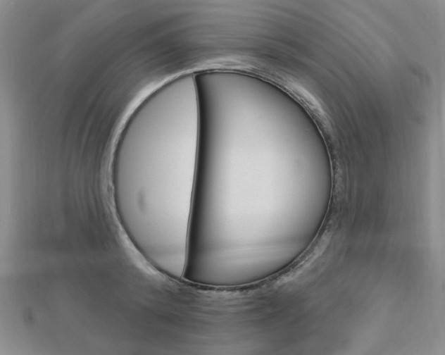 X0000112910800200908241007