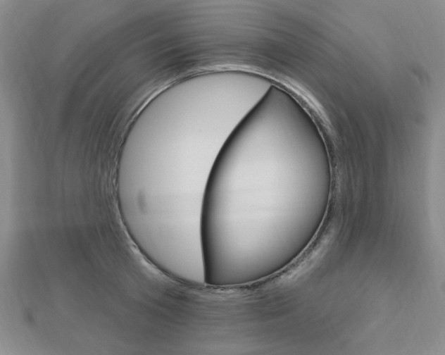 X0000112910801200908241007