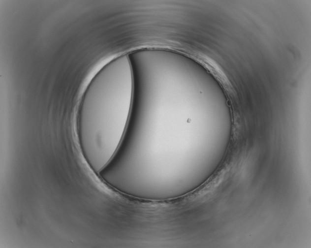 X0000112910804200908241006