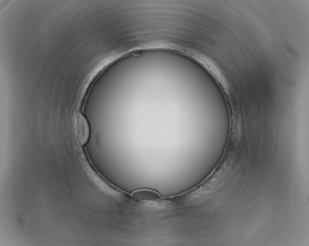 X0000112910805200908241006