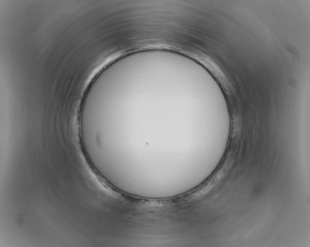 X0000112910806200908241006