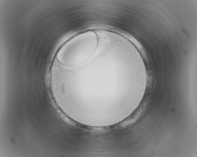 X0000112910807200908241006