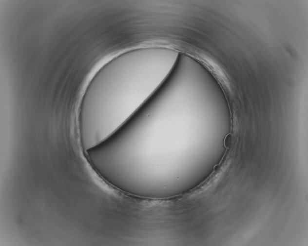 X0000112910808200908241006