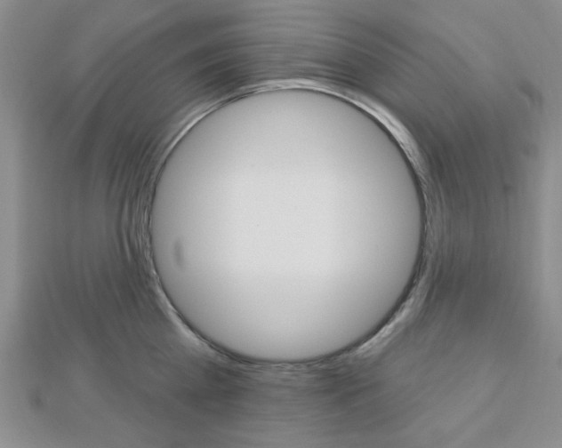 X0000112910809200908241006
