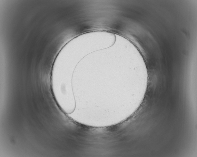 X0000112910810200908241006