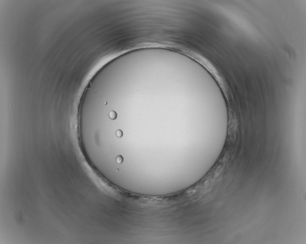 X0000112910811200908241006