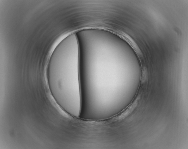 X0000112910812200908241006