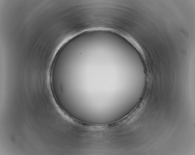 X0000112910813200908241006