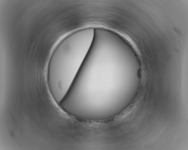 X0000112910815200908241006