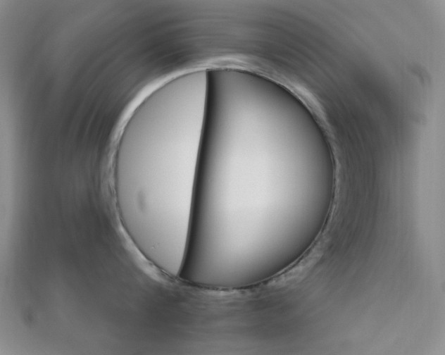 X0000112910816200908241006