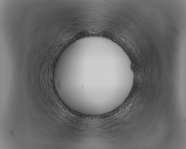 X0000112910817200908241005