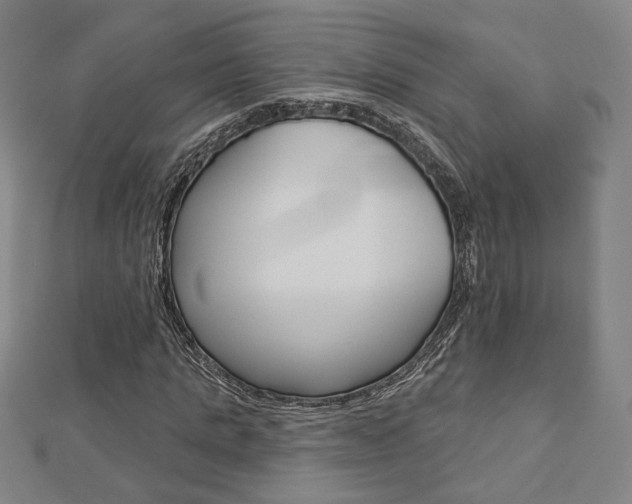 X0000112910821200908241005