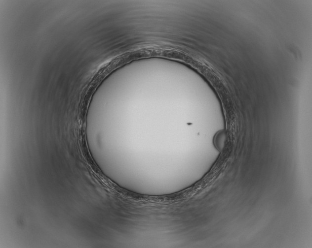 X0000112910822200908241005