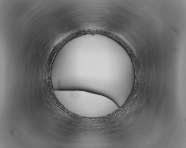 X0000112910823200908241005