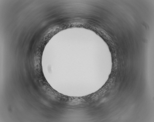X0000112910824200908241005