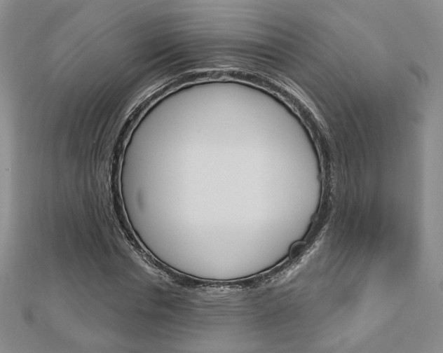 X0000112910826200908241006