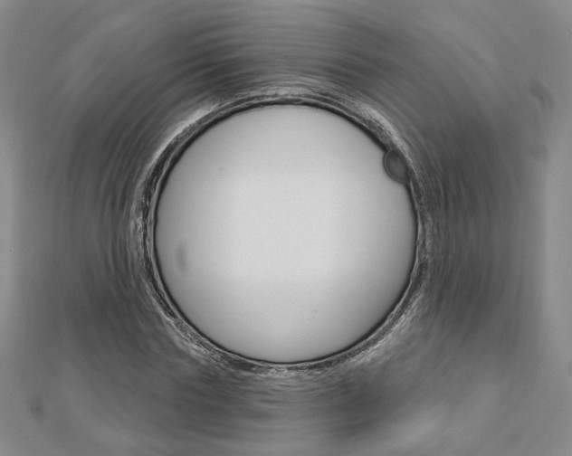 X0000112910827200908241006