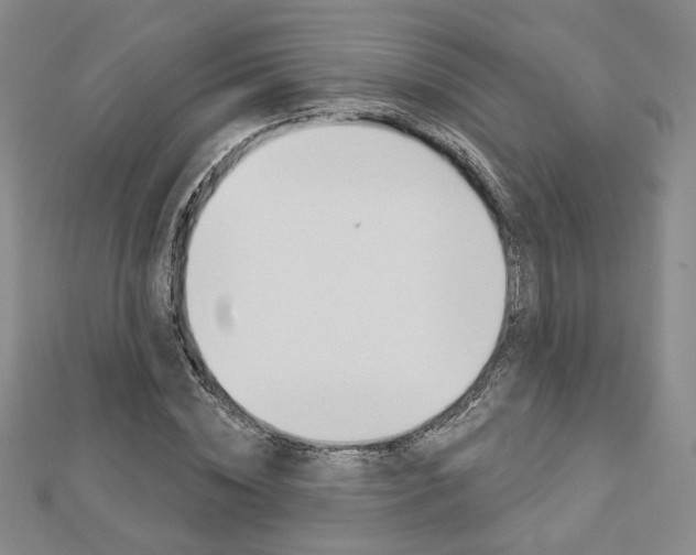 X0000112910828200908241006