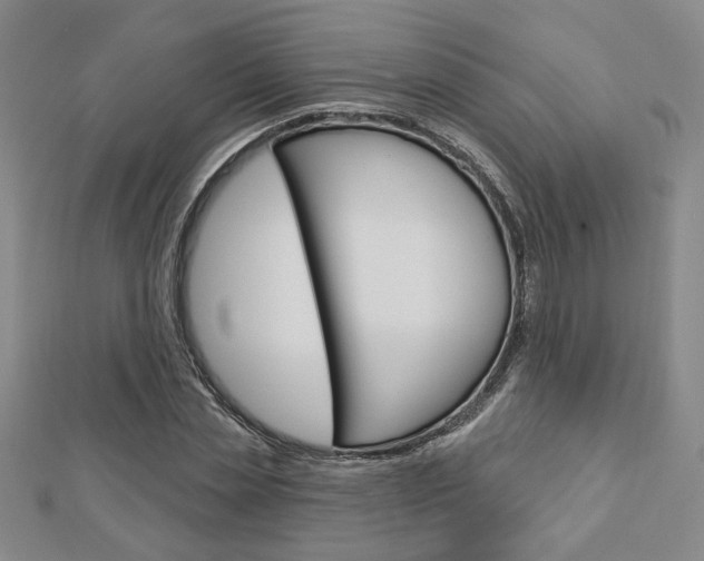 X0000112910829200908241006