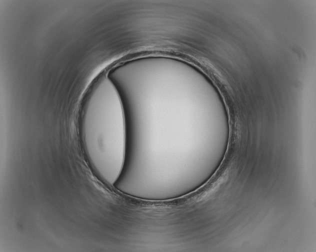 X0000112910830200908241006