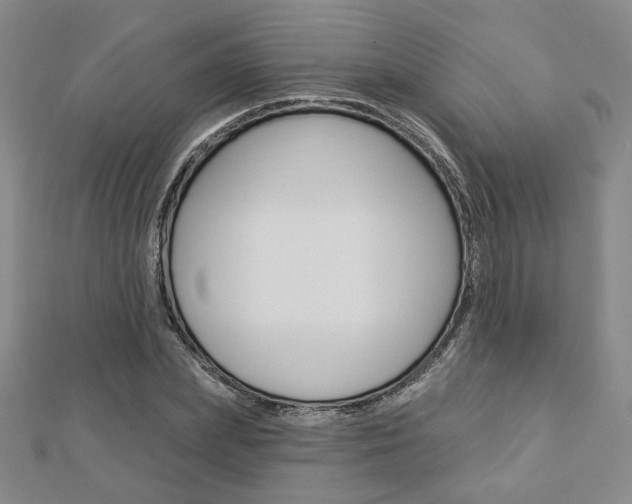 X0000112910831200908241006