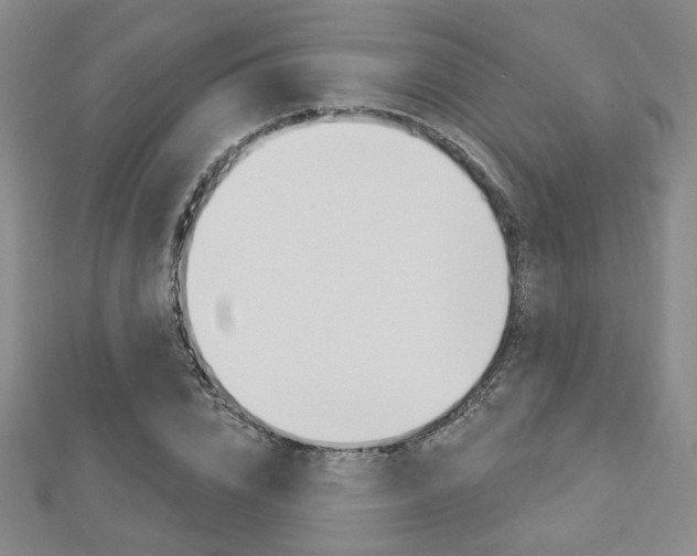 X0000112910832200908241006