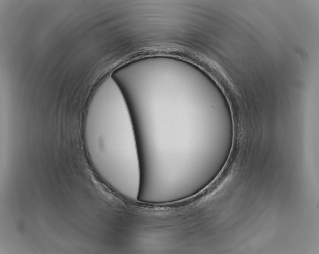 X0000112910833200908241006