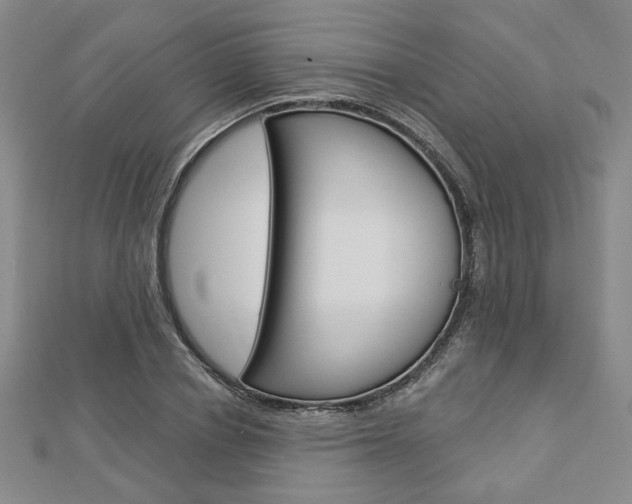 X0000112910834200908241006