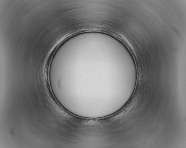 X0000112910835200908241006