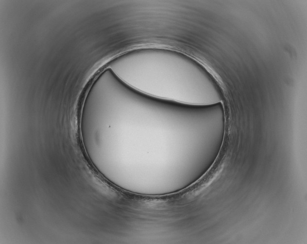 X0000112910837200908241006