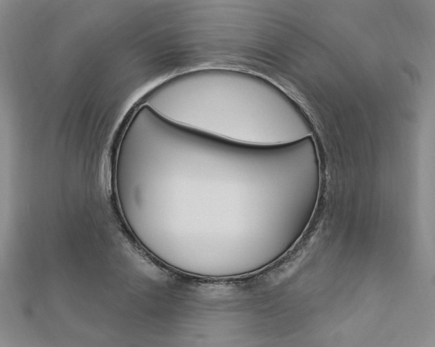 X0000112910838200908241006